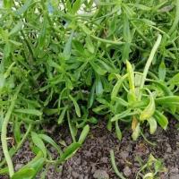 Img 20200112 163540 copier 