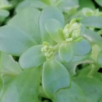 Img 20200112 163940 copier 