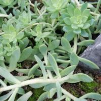 Img 20200112 164013 copier 