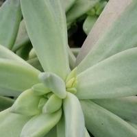 Img 20200112 164215 copier 