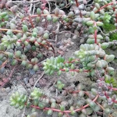 Img 20200112 164318 copier 