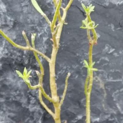 Img 20200112 164524 copier 